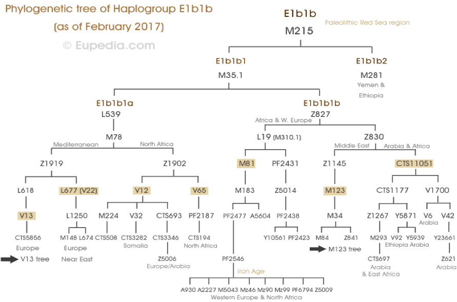sennett name origins